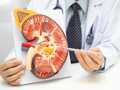 Chistul renal