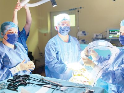 Hernia tratată în 24 de ore