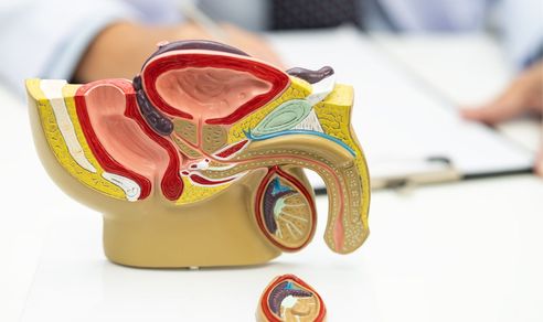 Dacă nu te supără nimic, nu ai probleme cu prostata